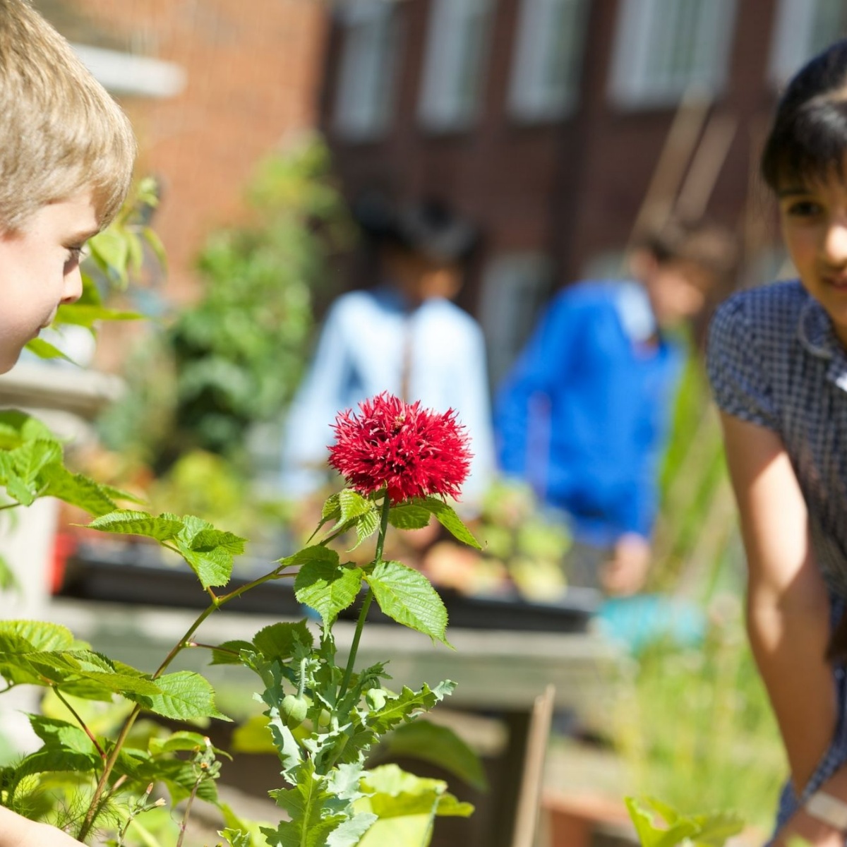 South Farnham Educational Trust South Farnham School Receives